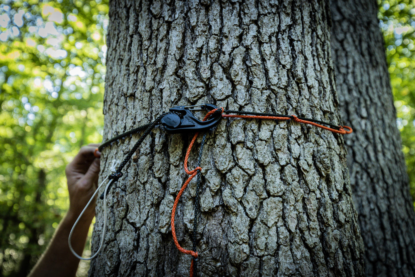 Amsteel Daisy Chain Gear Hanger